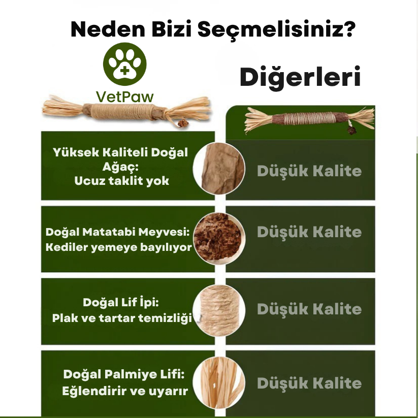 Doğal Diş Bakım Çubuğu