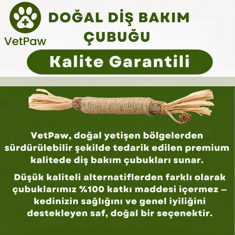 Doğal Diş Bakım Çubuğu