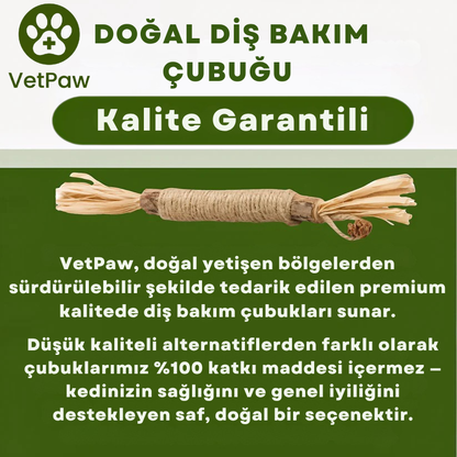 Doğal Diş Bakım Çubuğu