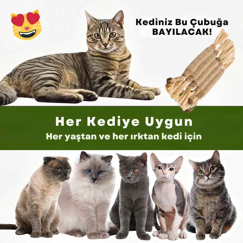 Doğal Diş Bakım Çubuğu