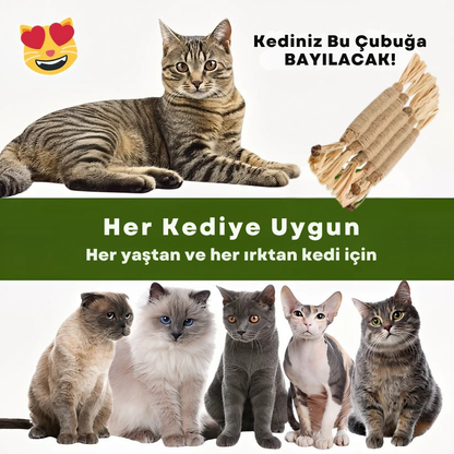 Doğal Diş Bakım Çubuğu